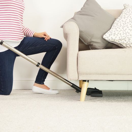 Bocal de aspiração para aspirador pelos de animais Henry Petcare