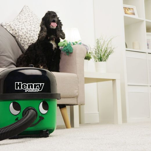 aspirador para mascotas Henry Petcare