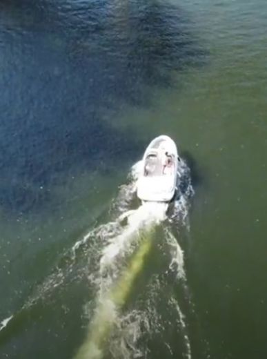 Imagem de Experiencia 01.1